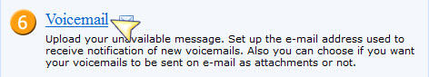 Select voicemail.jpg